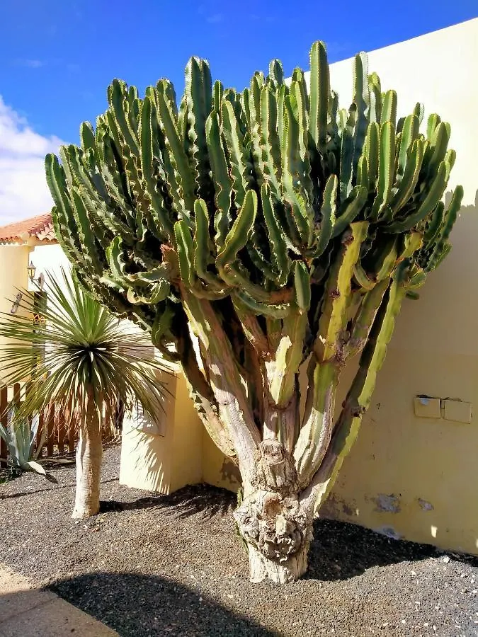 Casa Alma Villa Caleta De Fuste 0*,  Spain